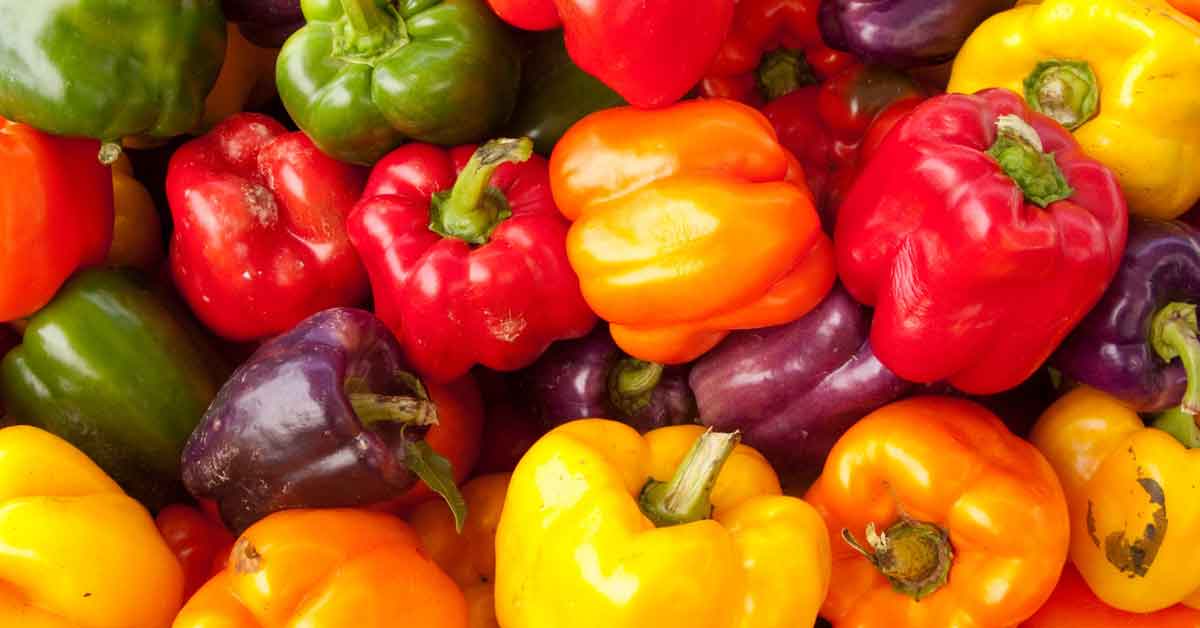 Growing_Peppers-Header Growing_Peppers-Header